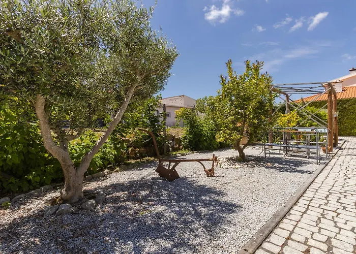 Apartmán House Dinavast Casa Dos Ases São João da Pesqueira